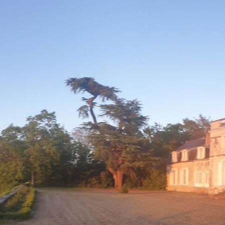 Chateau De Colliers Muides-sur-Loire Ngoại thất bức ảnh
