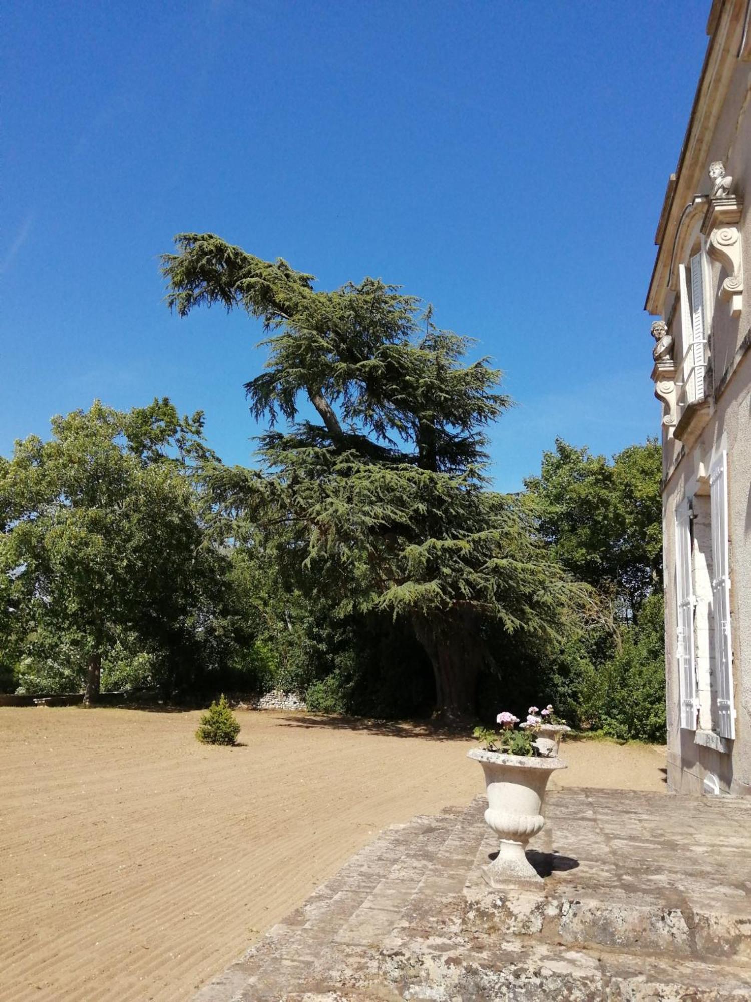 Chateau De Colliers Muides-sur-Loire Phòng bức ảnh