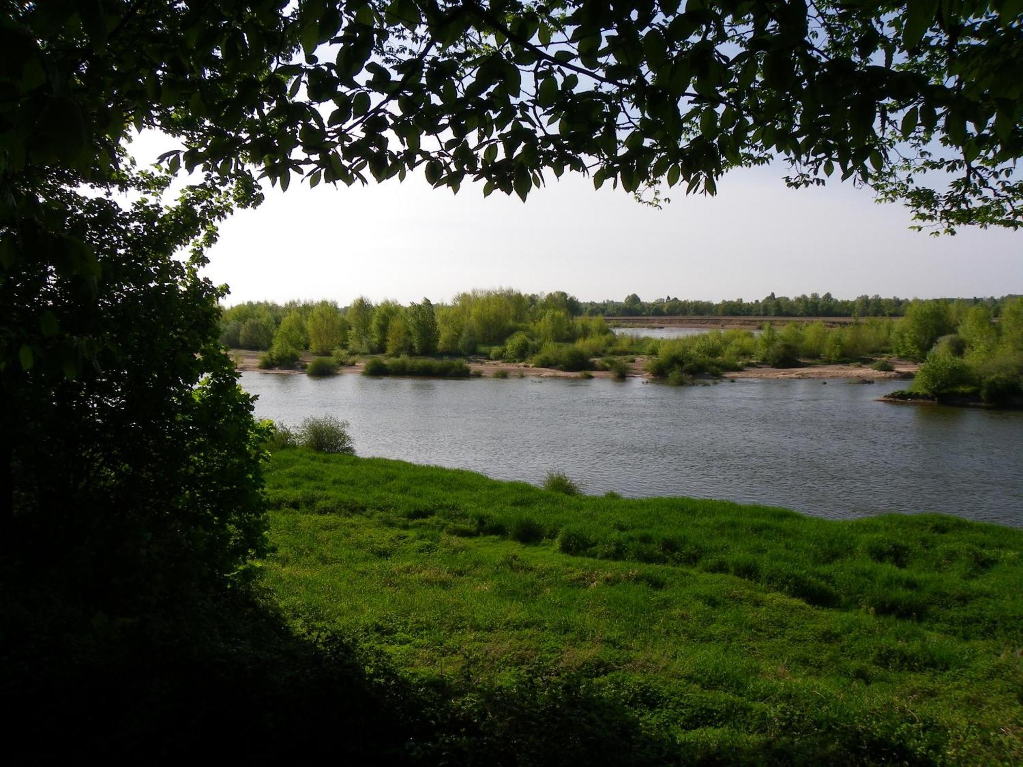 Chateau De Colliers Muides-sur-Loire Ngoại thất bức ảnh